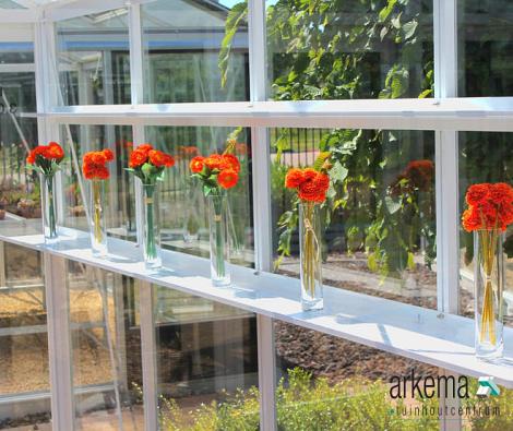 Euro Serre schap 10cm X 380cm