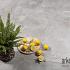 GeoCeramica® 100x100x4 Bel Cemento Grig