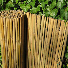Bamboe rols Dalian